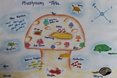 Mushroom Thila